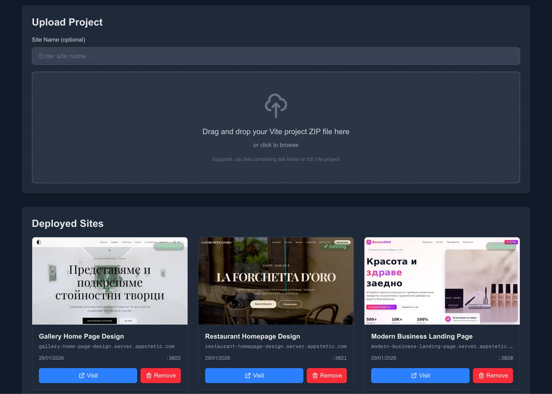 Projeject description