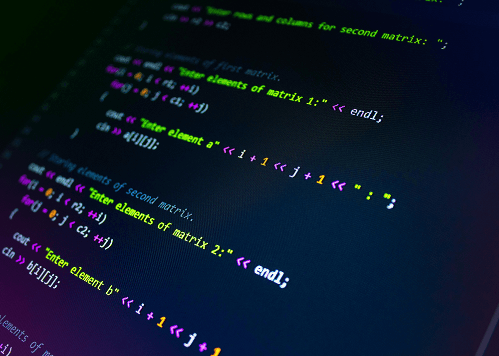 Projeject description