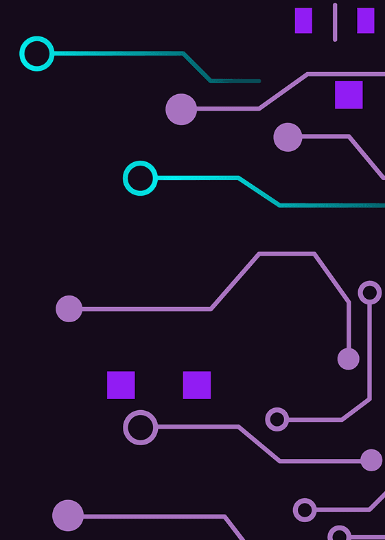 Projeject description